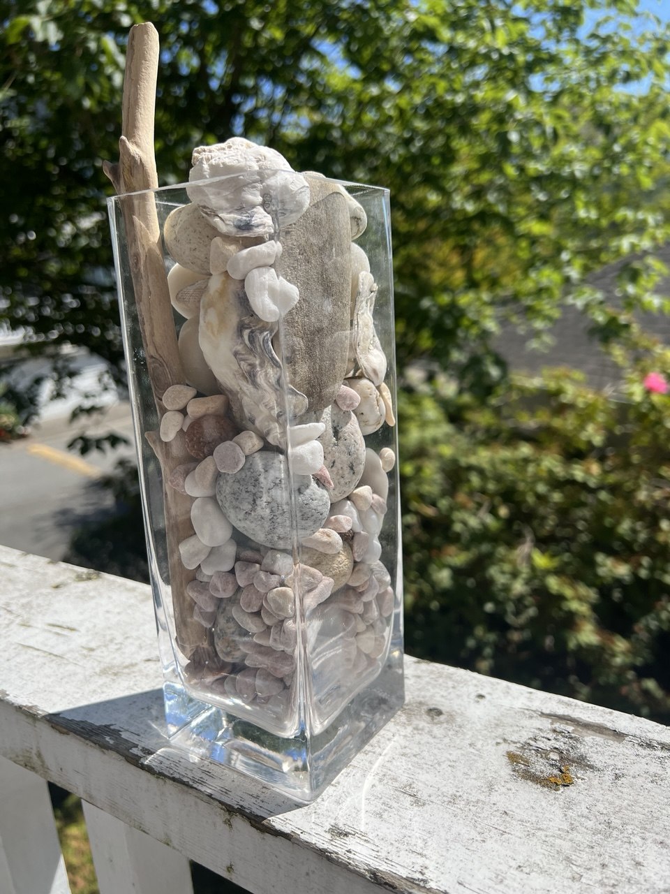 Smooth ocean stones and driftwood gathered in a clear glass vase